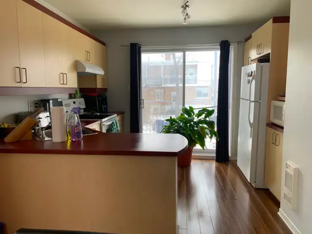 LAVAL GRAND 4 1/2 DANS TRIPLEX - Photo 5