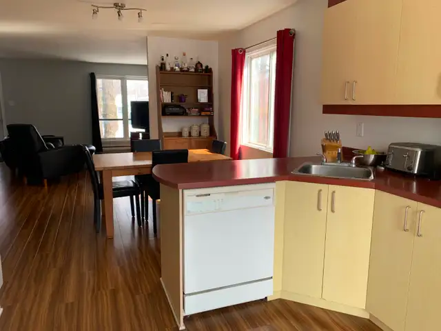 LAVAL GRAND 4 1/2 DANS TRIPLEX - Photo 6