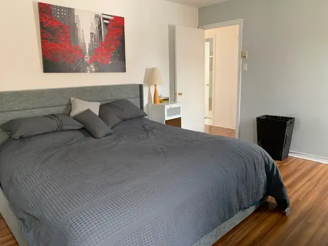 LAVAL GRAND 4 1/2 DANS TRIPLEX - Photo 8