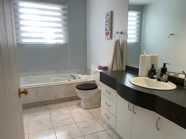 LAVAL GRAND 4 1/2 DANS TRIPLEX - Photo 10