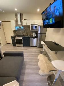 À Louer - Mini-Studio Moderne Meublé–995$-Rive Sud - Photo 2