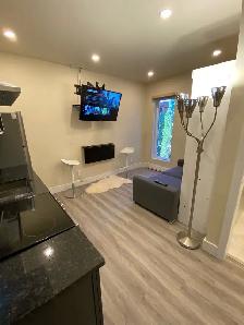 À Louer - Mini-Studio Moderne Meublé–995$-Rive Sud - Photo 3