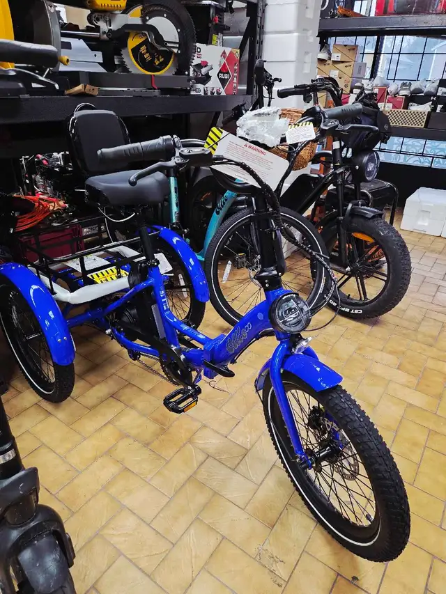 Vélo Tricycle Électrique