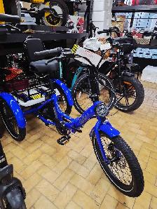 Vélo Tricycle Électrique