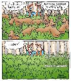 Non Restricted (PAL) – Joffre – April 25