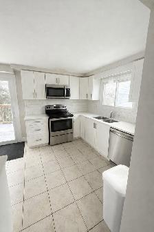 Recently Renovated 5 Bedroom Student Home in a Great Location! - Photo 2