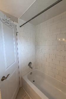 Recently Renovated 5 Bedroom Student Home in a Great Location! - Photo 7