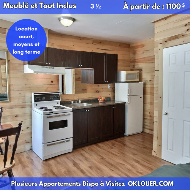 APPARTEMENT 1 CHAMBRE 3 1/2  MEUBLÉ-TOUT INCLUS, CENTRE VILLE