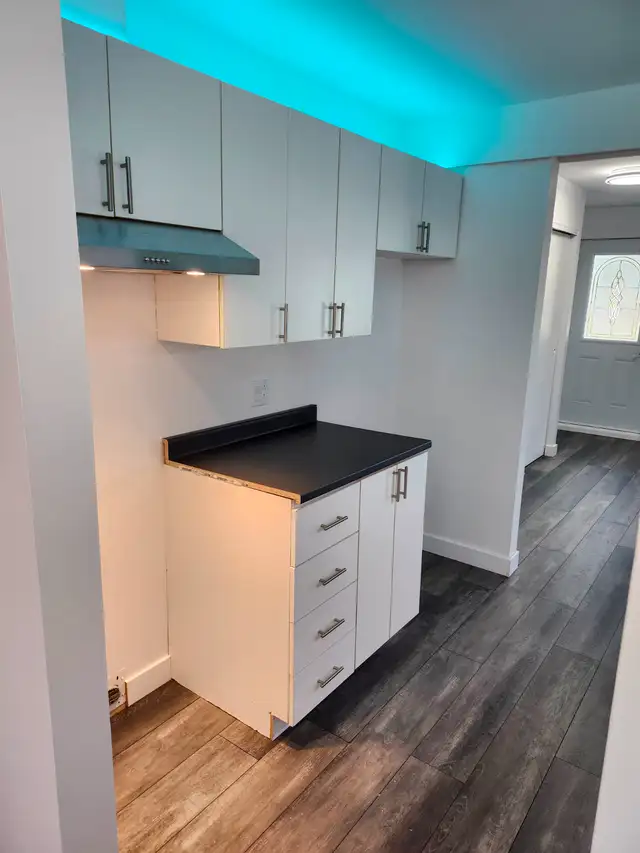 4 1/2 a loué a St-Augustin de Desmaures - Photo 5