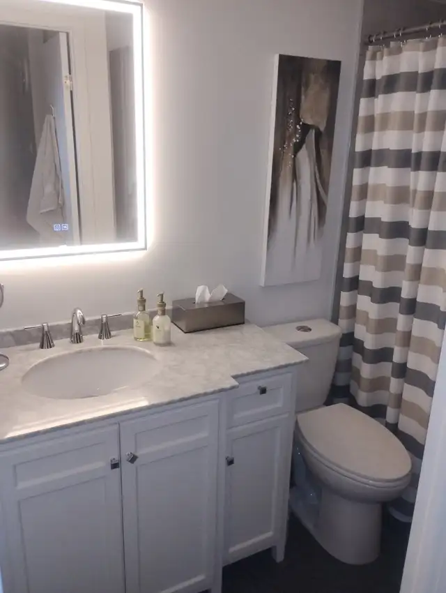 4 1/2 a loué a St-Augustin de Desmaures - Photo 8