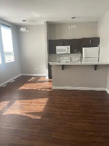1 bedroom apartment - Drumheller