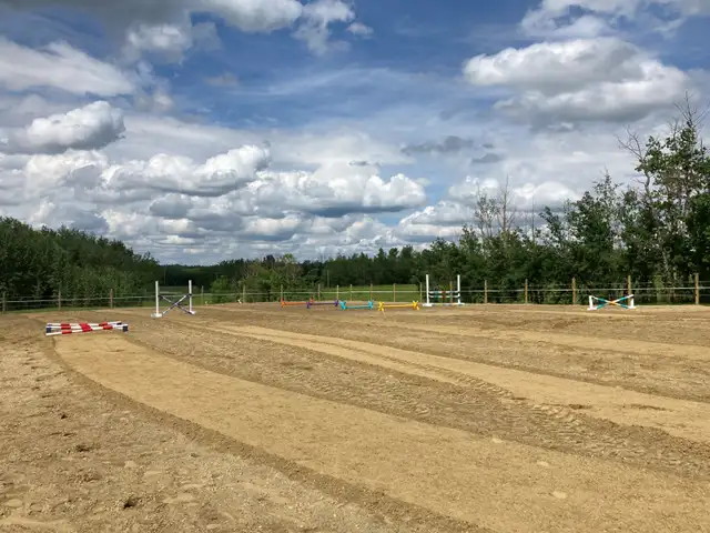 Horse Boarding Near Sylvan Lake | Where Horses Thrive & Rider - Photo 4