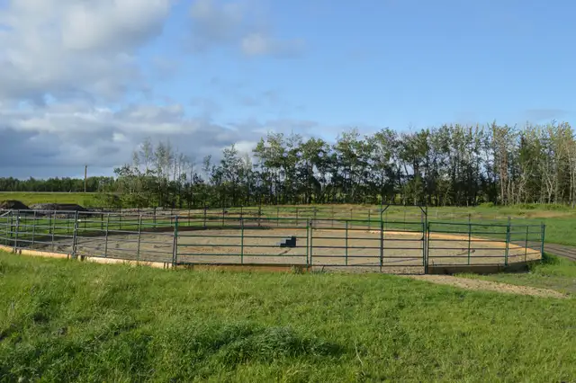 Horse Boarding Near Sylvan Lake | Where Horses Thrive & Rider - Photo 7