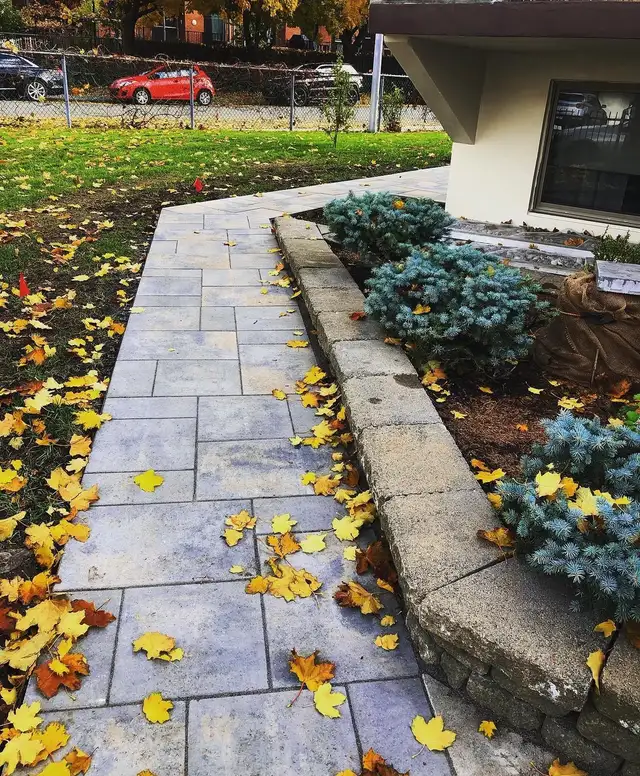 Landscaping / Pave - Photo 3