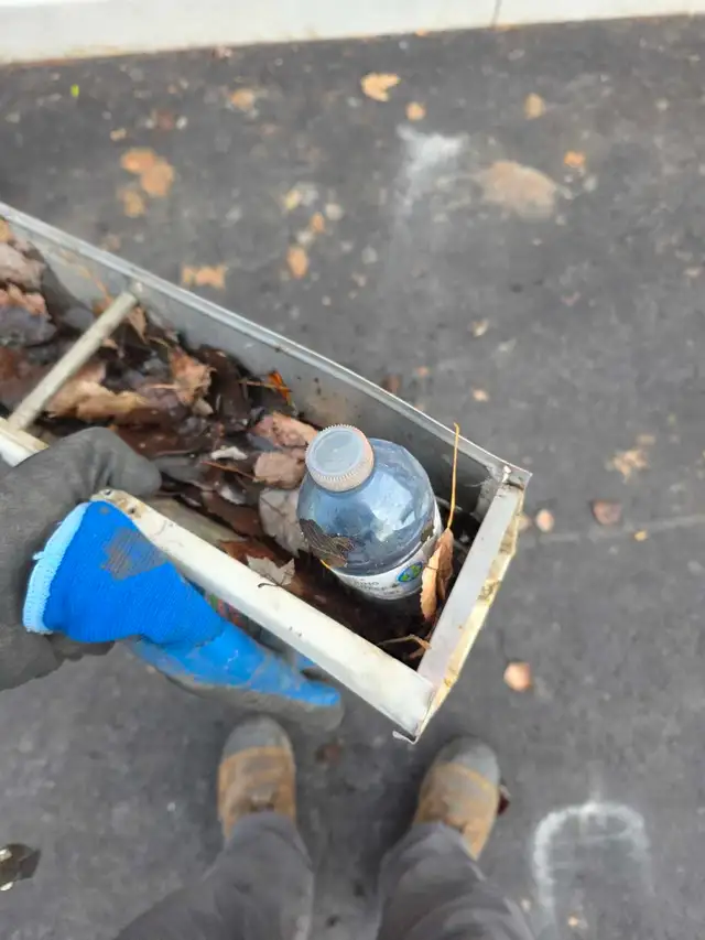 gutter cleaning and much more