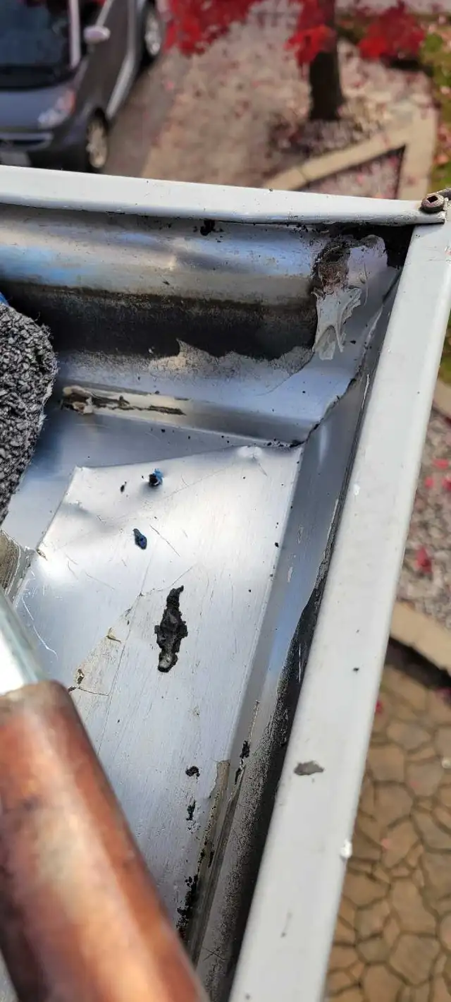 gutter cleaning and much more - Photo 4