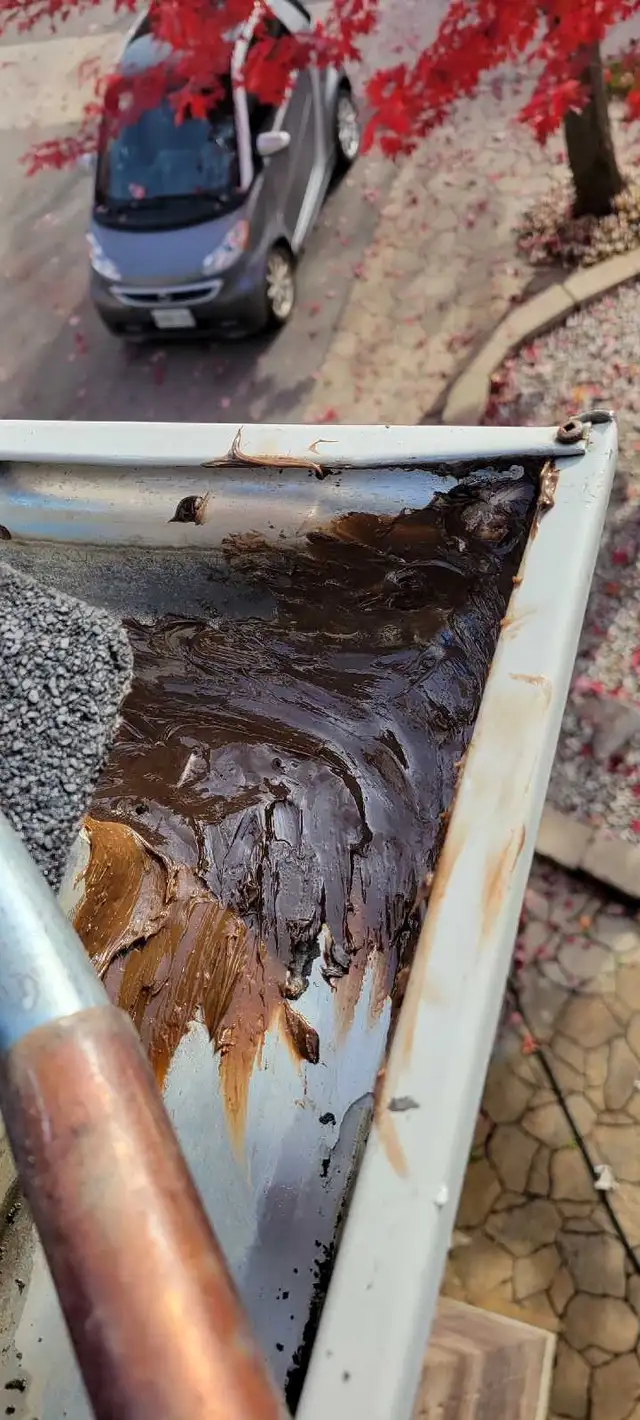 gutter cleaning and much more - Photo 5