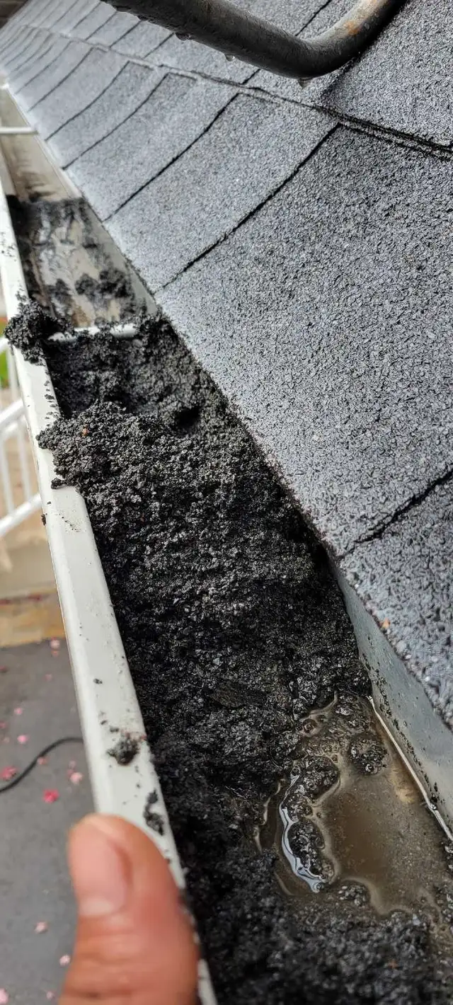 gutter cleaning and much more - Photo 6