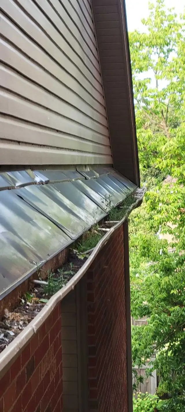 gutter cleaning and much more - Photo 10