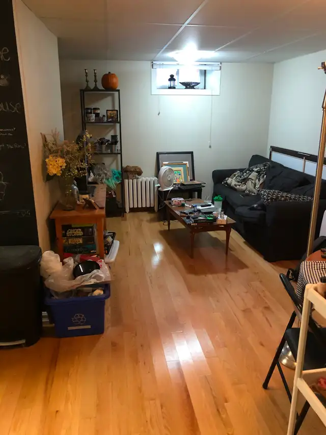 Gem on the Glebe avenues - June 1 - 2 bed bsmt - Photo 2