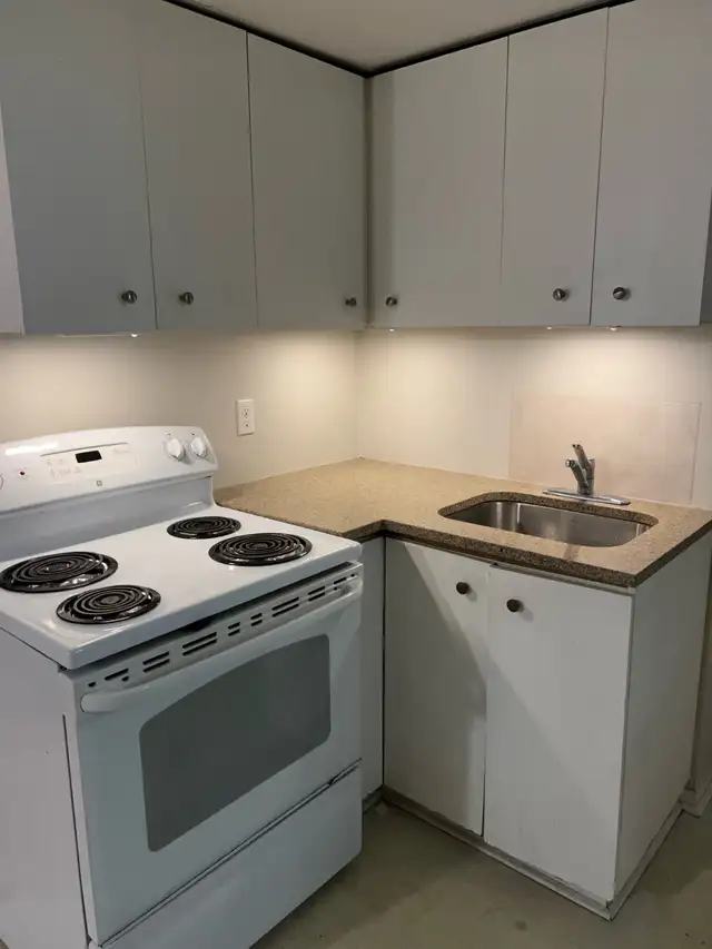 Gem on the Glebe avenues - June 1 - 2 bed bsmt - Photo 3