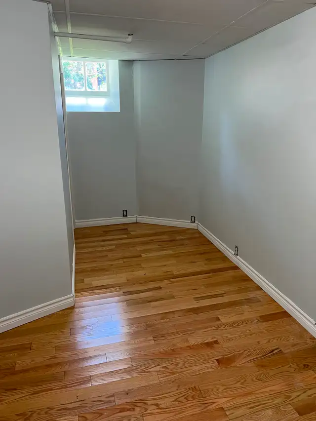 Gem on the Glebe avenues - June 1 - 2 bed bsmt - Photo 6