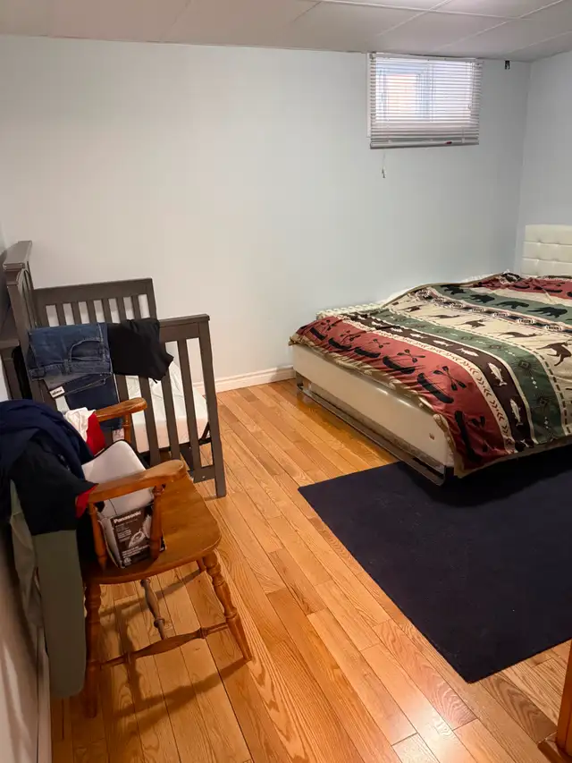 Gem on the Glebe avenues - June 1 - 2 bed bsmt - Photo 7