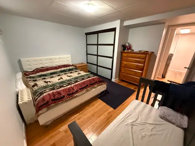 Gem on the Glebe avenues - June 1 - 2 bed bsmt - Photo 8