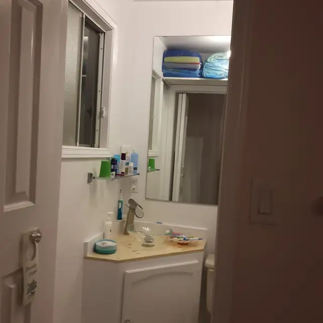 WHITE WOOD FOLDING DOORS 30 BY 80 - Photo 4