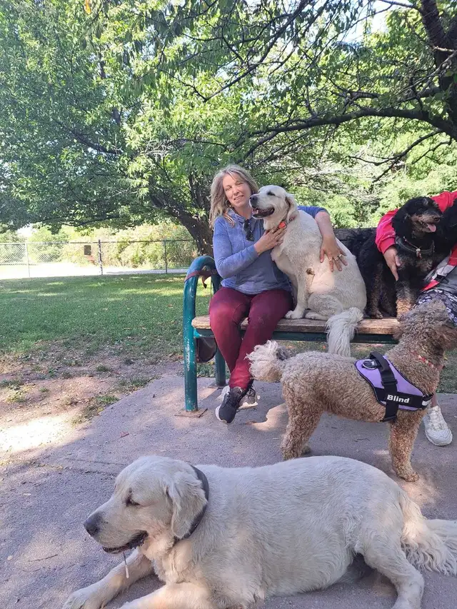 Tail Wag & Poop Tidy Up - Photo 3