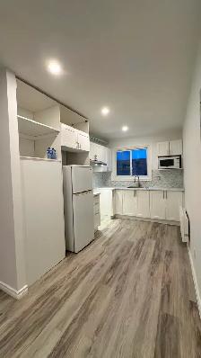 New renovated 4 1/2 apartment southwest (sud-ouest ) for rent