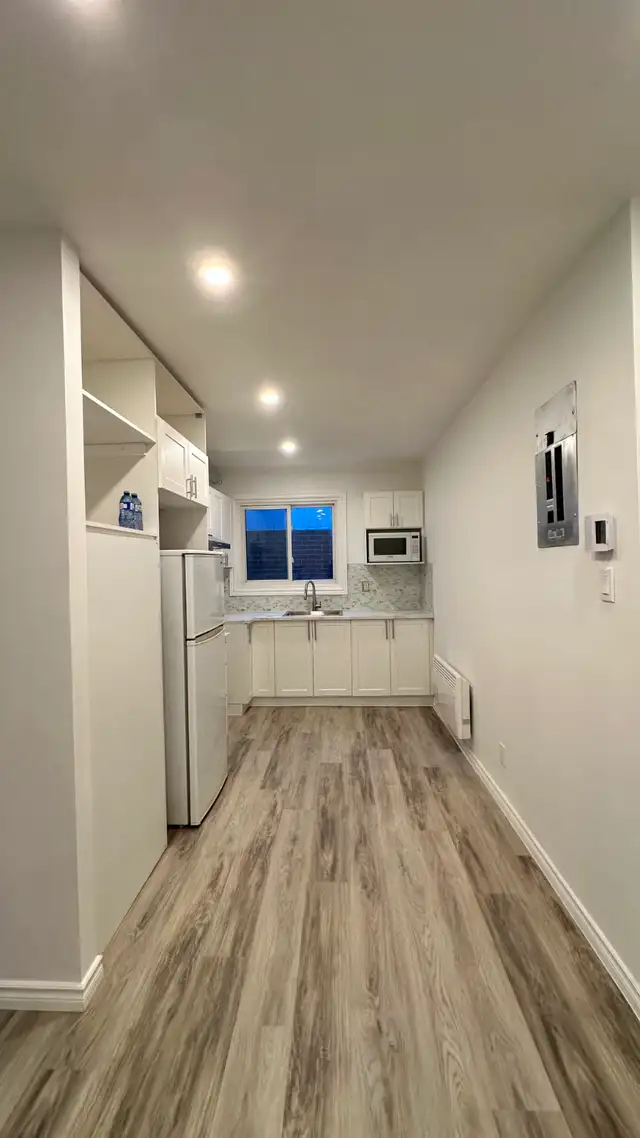 New renovated 4 1/2 apartment southwest (sud-ouest ) for rent - Photo 2