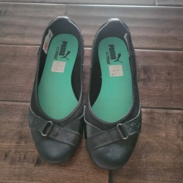 Puma Flats