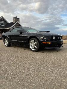 2007 Mustang GT/CS