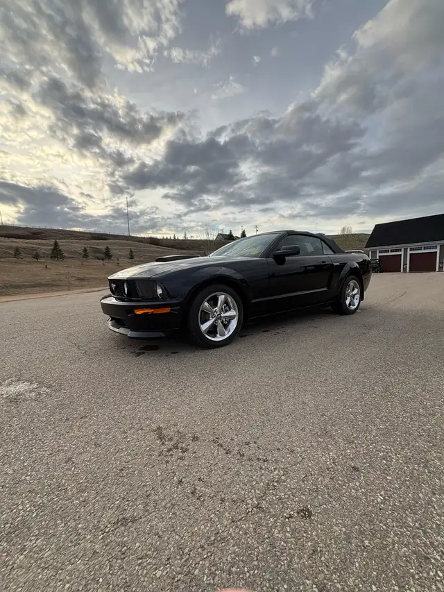 2007 Mustang GT/CS - Photo 4