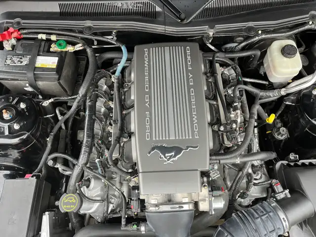 2007 Mustang GT/CS - Photo 5