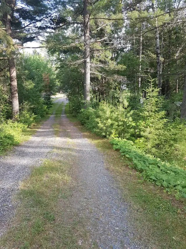 Large waterfront property West Arm of Lake Nippising - Photo 10