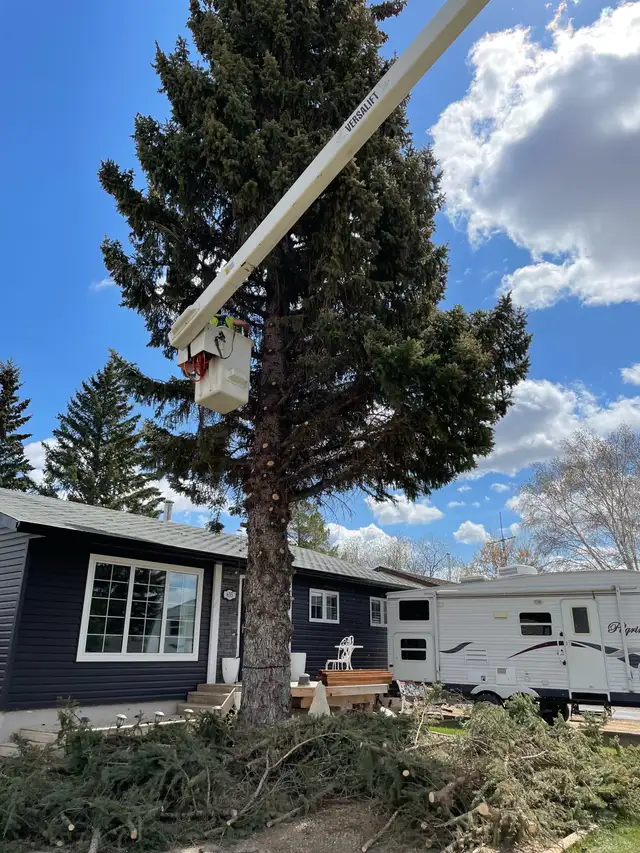 Hiring for a General Laborer - Photo 2