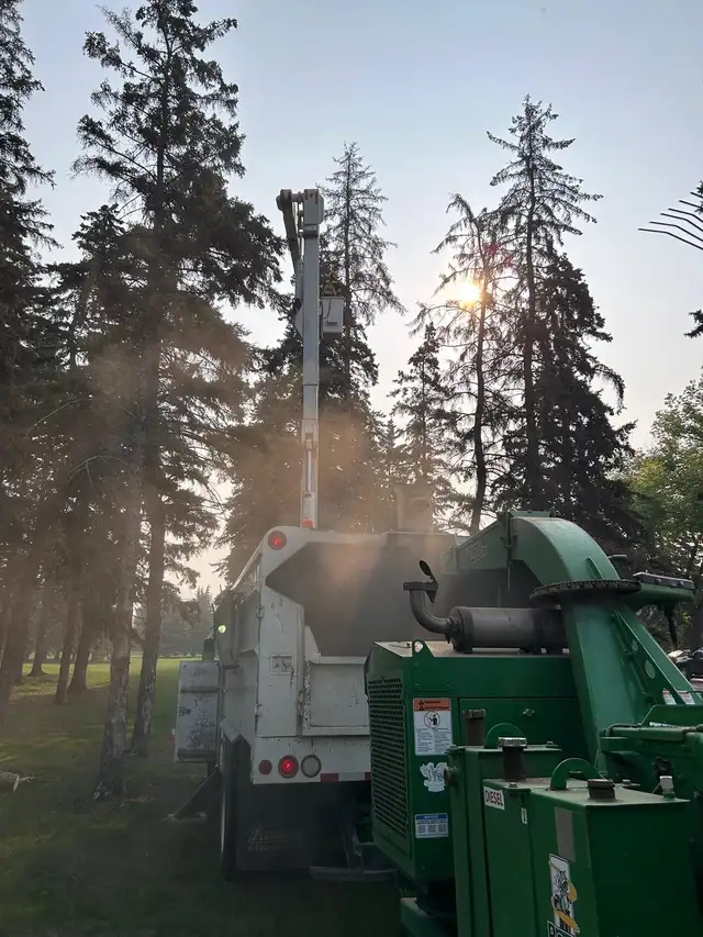 Hiring for a General Laborer - Photo 4