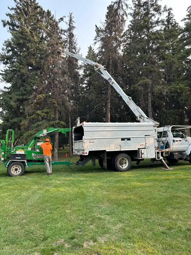 Hiring for a General Laborer - Photo 5