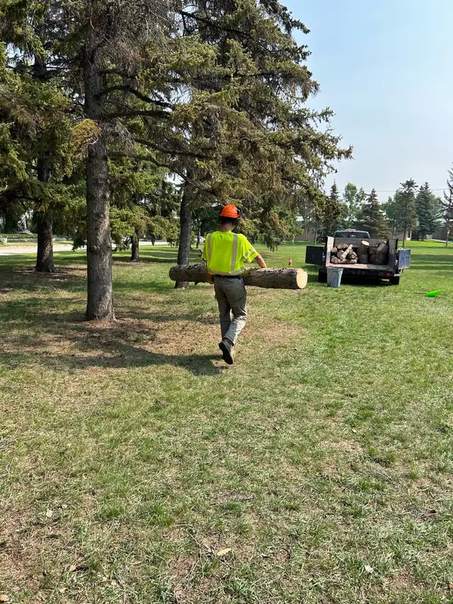 Hiring for a General Laborer - Photo 6