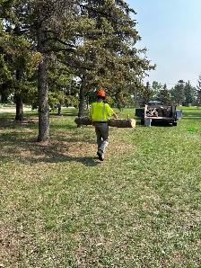 Hiring for a General Laborer - Photo 6