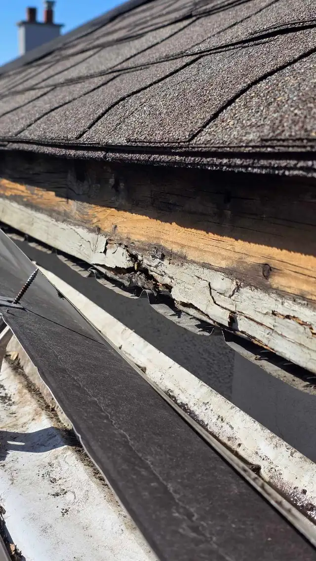 gutters, capping, siding and much more - Photo 4