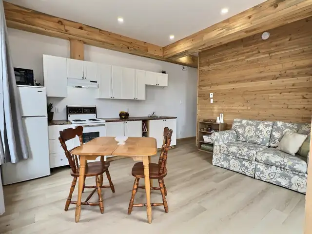 APPARTEMENT MEUBLÉ-TOUT INCLUS 4 1/2 CENTRE VILLE - Photo 3