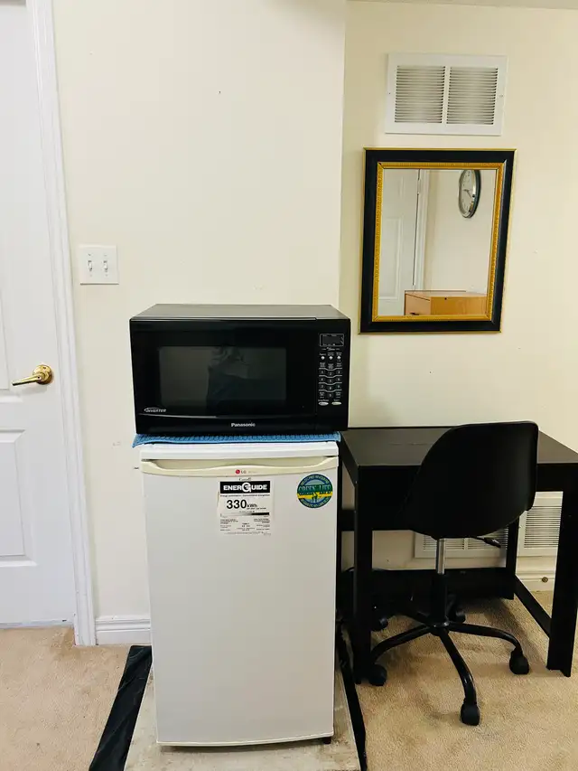 Furnished room with attached washroom and separate entrance