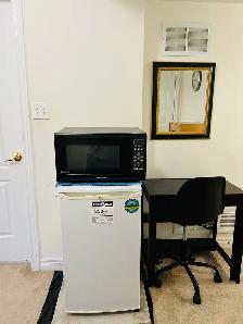 Furnished room with attached washroom and separate entrance