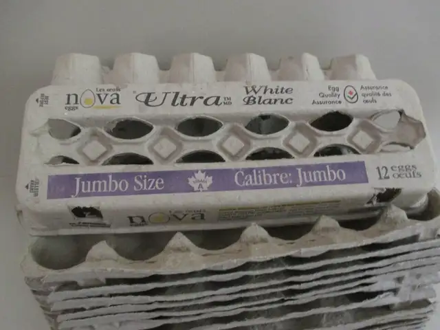 EGG CARTONS - Photo 3