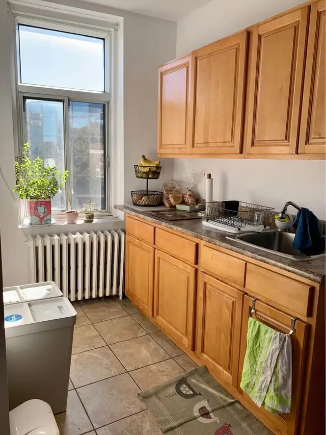 Fully renovated 4 1/2, hot water, heating, Vendome, May 1st - Photo 8