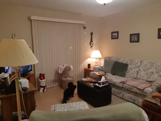 A 2 bdr apt, Heat included June, Elevator, Parking, Storage, Bus - Photo 3