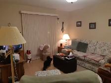 A 2 bdr apt, Heat included June, Elevator, Parking, Storage, Bus - Photo 3